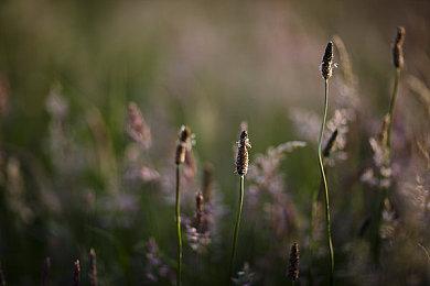 《美国卡车模拟》宣布艾奥瓦州将成为DLC制作目标